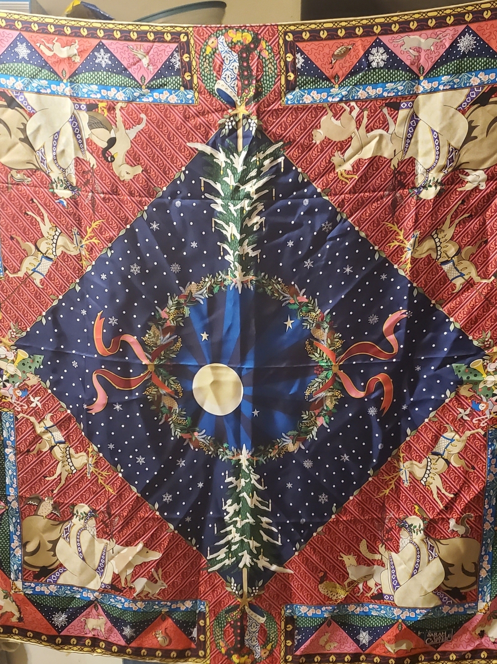 Sarah Gayle Carter, Scarf